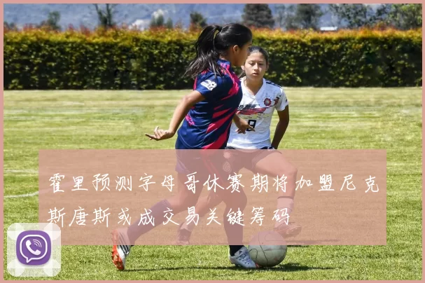 霍里预测字母哥休赛期将加盟尼克斯唐斯或成交易关键筹码