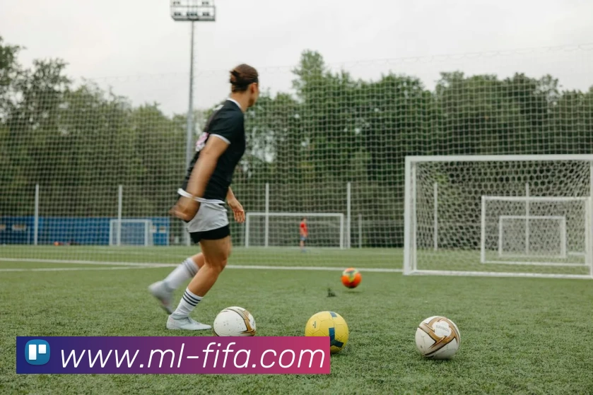 App Interface Preview